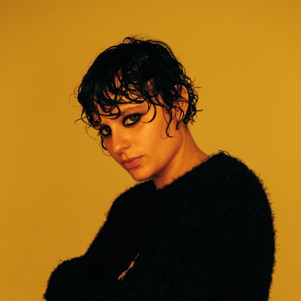 Ana Frango Elétrico (foto do artista)