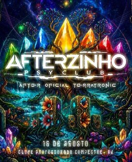 Afterzinho Psyclub - Terratronic (foto do evento)