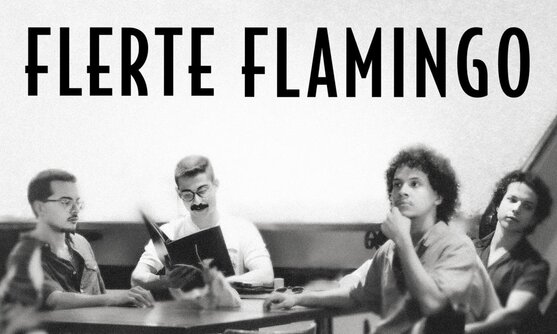 Flerte Flamingo no Rio de Janeiro (foto do evento)